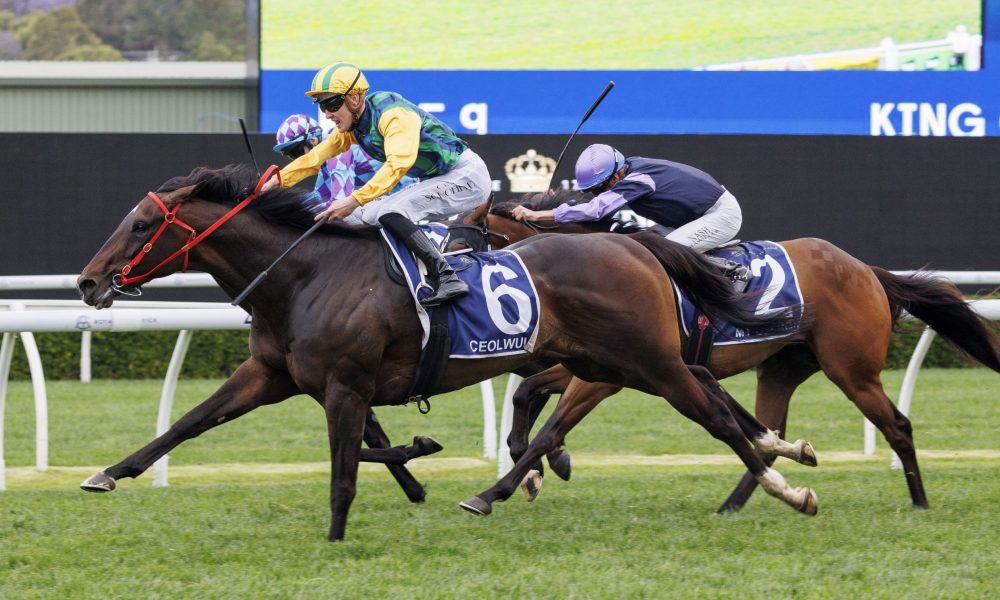 灭的印象 灭的印象