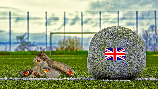 尽管未能进 尽管未能进